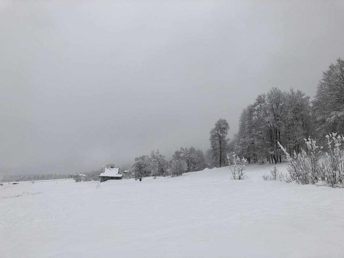 Cottage In Bakoerjani Buitenkant foto