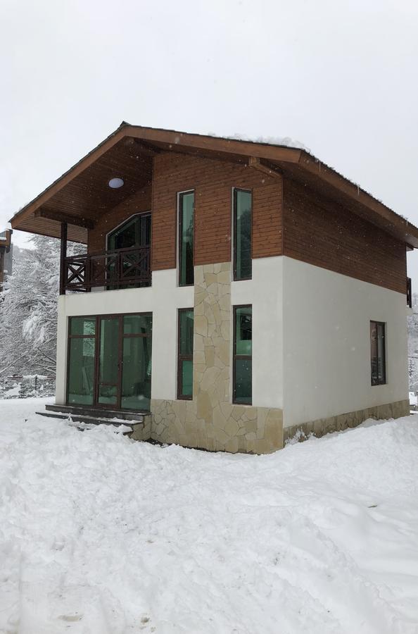 Cottage In Bakoerjani Buitenkant foto